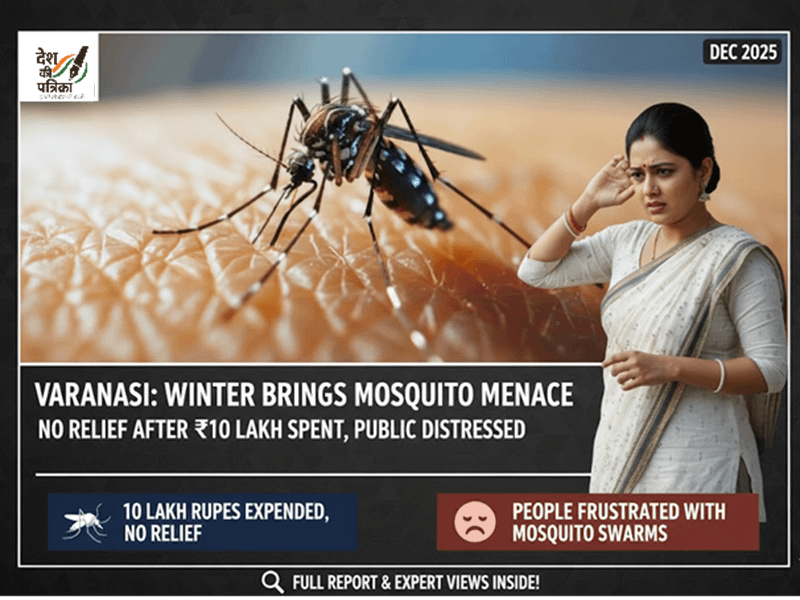 Mosquito Menace Varanasi